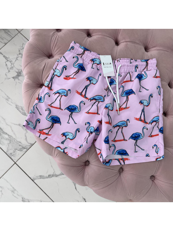 Мъжки бански Flamingo LBD